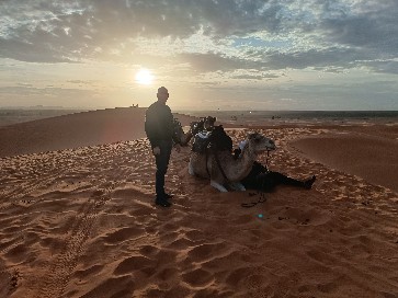 marruecos en moto camellos